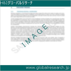 グローバルリサーチ調査レポートのイメージ